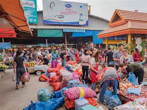 Vientiane market - Fresh Markets in Vientiane. Feb 2020. Hi There, It is quite a highlight to go to the Morning Markets and see the extensive variety of foods of choice..Wet, Dry,and many other choices. I was amazed at the fish,poultry,meats and EXOTIC! things …
